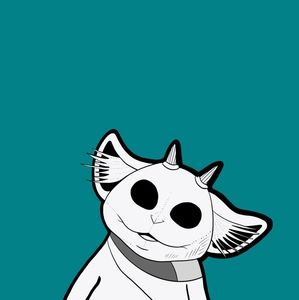 Meet your Posher, Maggie